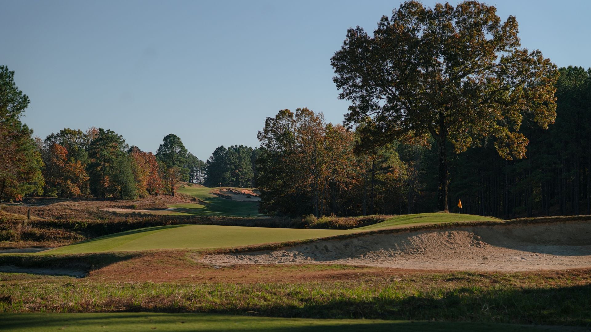 Winter Golf Clubs